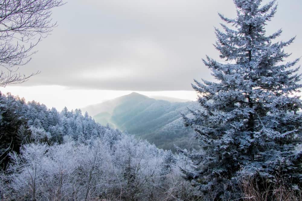 Вілла New! Haven Peaceful Retreatgorgeous Viewspool! Сев'єрвілл Екстер'єр фото